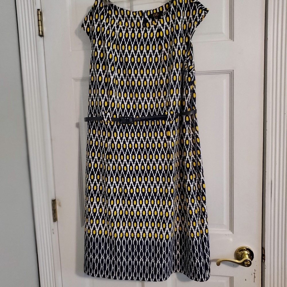 Professional dress